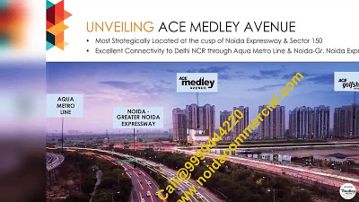 Ace Medley Avenue Review
