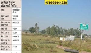 Yamuna Expressway Authority Residential Plots