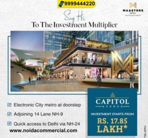 Capitol Avenue Noida