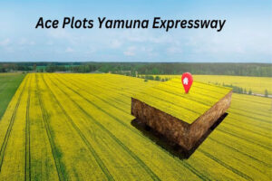 Plots Yamuna Expressway