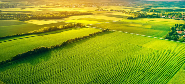 Arvind Sanand Ahmedabad